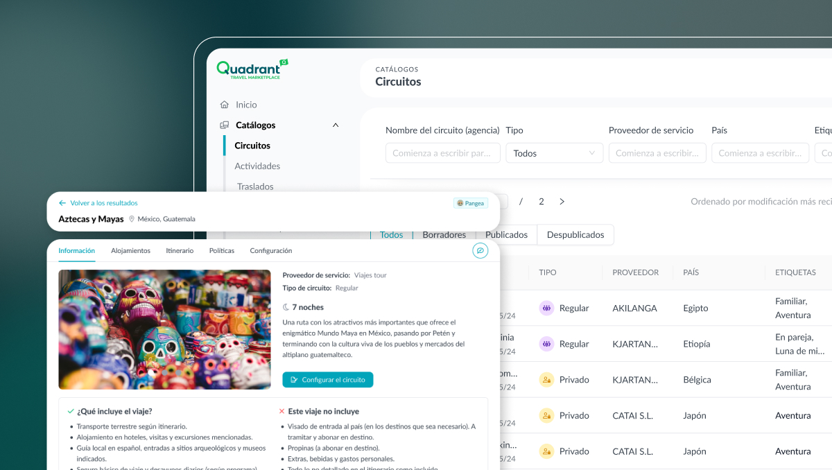 Vista previa del proyecto QTM
